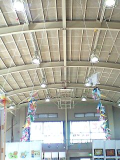 081122_鳥展示全体.jpg