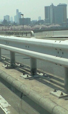 090407_1121~隅田川.jpg