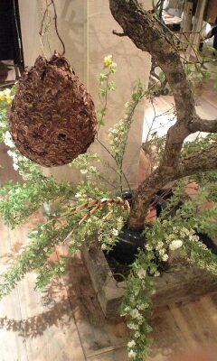 090407_1853~宿り木.jpg