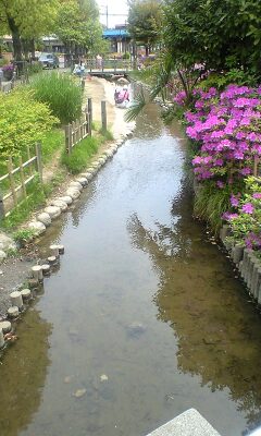 090503_1129~コミセンA.jpg