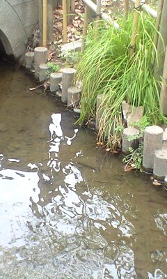 090503_1130~コミセンB.jpg