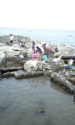 090504_0930~磯遊び@.jpg