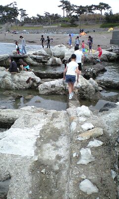 090504_0937~磯遊びA.jpg